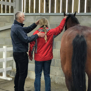 NeuroKinetic Therapy® Equine and Canine