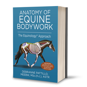 ‘Anatomy of Equine Bodywork’ EEBW Course Manual