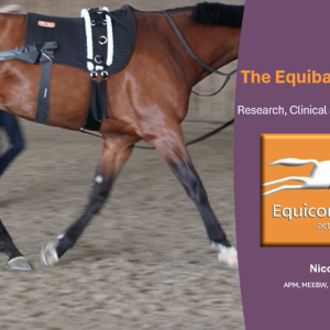 *FREE* The Equiband System by Equicore Concepts: What, Why and How