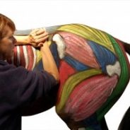 EQ103E: Advanced Equine Soft Tissue Techniques, Intro to Spinal Mobilisation, Rehabilitation Concepts, and Clinical Reasoning