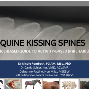 Evidence-Based Rehabilitation for Equine Kissing Spines