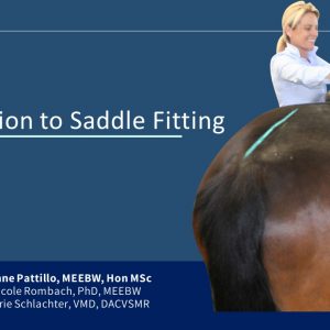 Introduction to Saddle Fitting