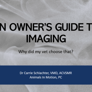 *FREE* The Owner's Guide to Diagnostic Imaging