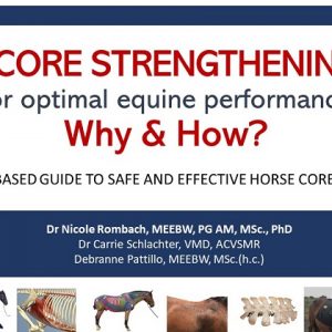 Core Strengthening for Optimal Equine Performance